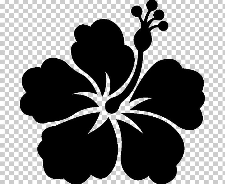 Shoeblackplant Flower Stencil Wall Decal Sticker PNG, Clipart, Black ...