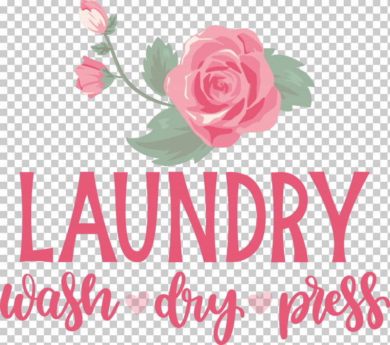 Laundry Wash Dry PNG, Clipart, Cut Flowers, Dry, Floral Design, Flower, Garden Free PNG Download