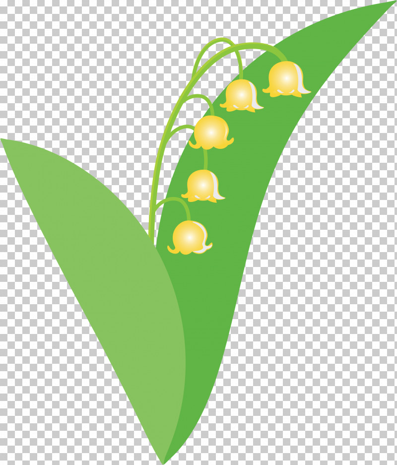 Lily Bell Flower PNG, Clipart, Flower, Green, Leaf, Lily Bell, Lily Of The Valley Free PNG Download