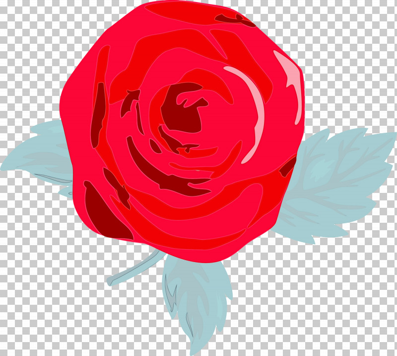 Garden Roses PNG, Clipart, Flower, Garden Roses, Hybrid Tea Rose, Paint, Petal Free PNG Download