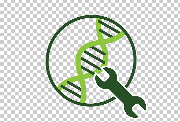 Algae Fuel Genetic Engineering Information PNG, Clipart, Algae, Algae Fuel, Area, Biofuel, Biology Free PNG Download