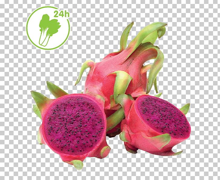Pitaya Auglis Fruit Hylocereus Red PNG, Clipart, Apple, Auglis, Banana, Berry, Coconut Free PNG Download