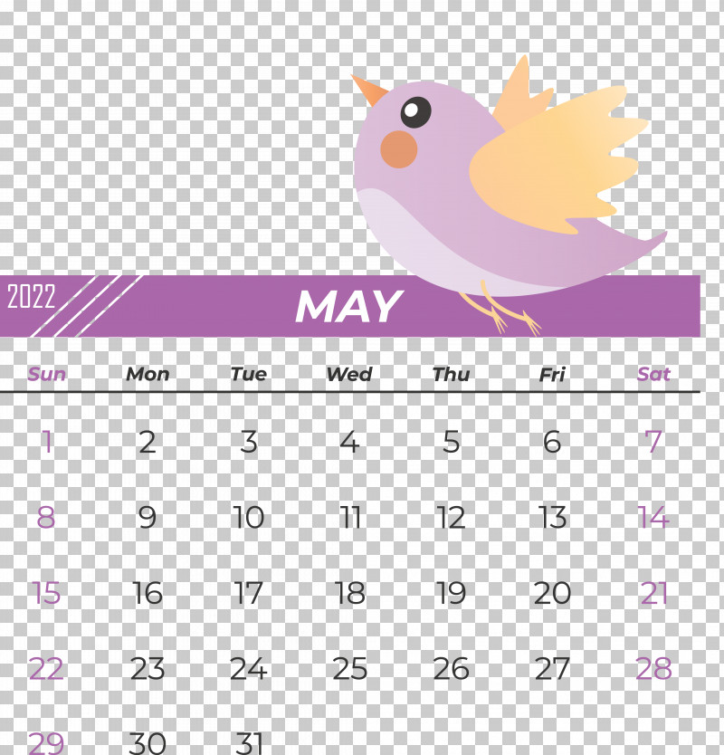 Birds Line Calendar Beak Font PNG, Clipart, Beak, Biology, Birds, Calendar, Geometry Free PNG Download