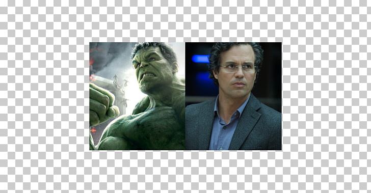 Bruce Banner Thor Spider-Man Ultron The Avengers Film Series PNG, Clipart, Avengers Age Of Ultron, Avengers Film Series, Bruce Banner, Chris Hemsworth, Comic Free PNG Download