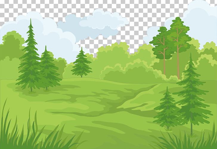 Forest Cartoon Landscape PNG, Clipart, Biome, Branch, Computer Wallpaper,  Conifer, Disney Castle Free PNG Download