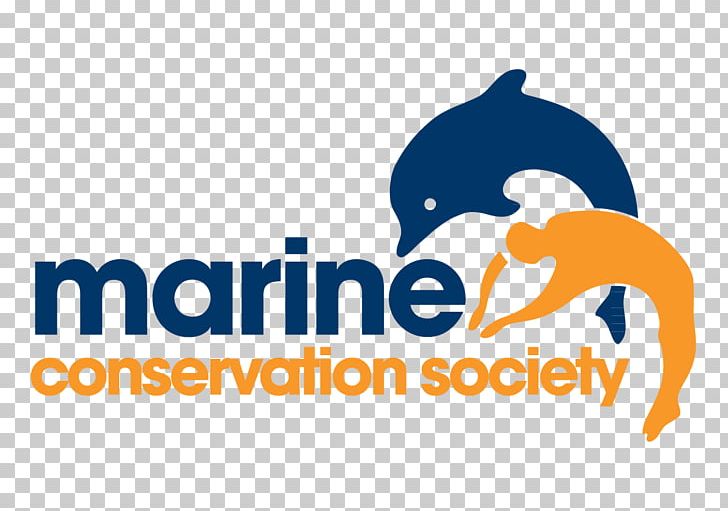 Marine Conservation Society Marine Life Sea PNG, Clipart, Area, Brand, Carnivoran, Charitable Organization, Conservation Free PNG Download