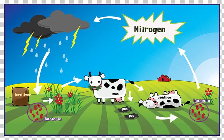 Nitrogen Cycle Gas Oxygen Cycle Rock Cycle PNG, Clipart, Ammonia, Art, Biogeochemical Cycle, Biome, Carbon Cycle Free PNG Download