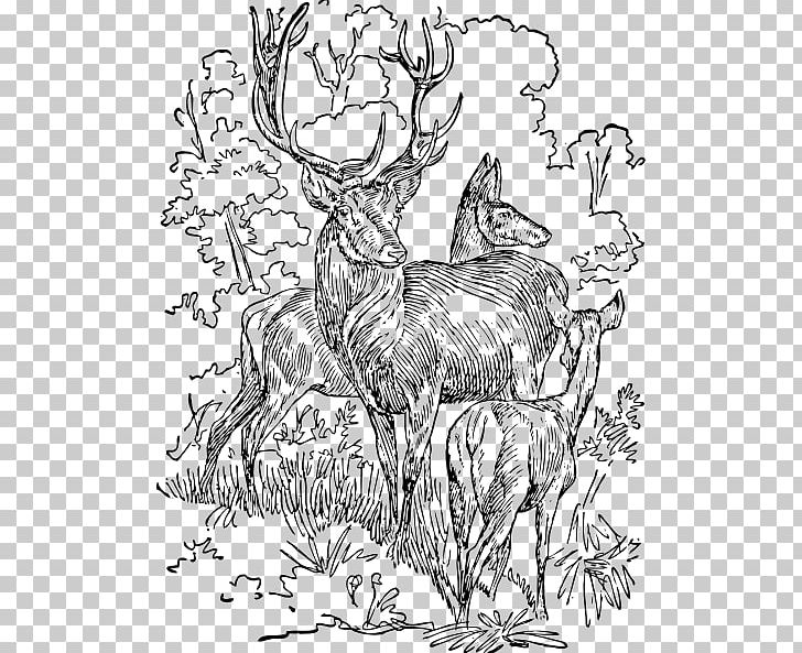Red Deer Drawing PNG, Clipart, Art, Artwork, Black And White, Cattle Like Mammal, Computer Icons Free PNG Download