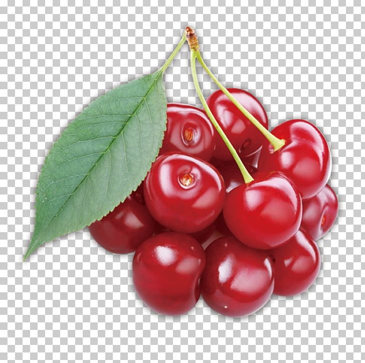 Cherry Lingonberry Auglis Cancer PNG, Clipart, Auglis, Berry, Branch, Cancer, Cherries Free PNG Download