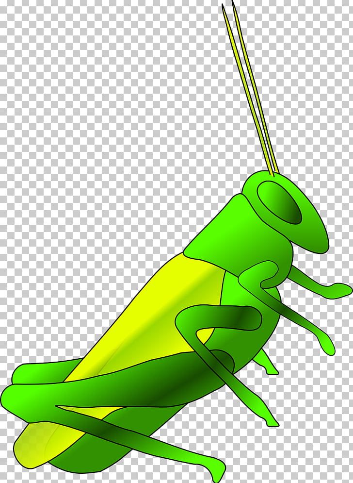 Jiminy Cricket Insect PNG, Clipart, Art, Background Green, Batting, Cartoon, Fauna Free PNG Download