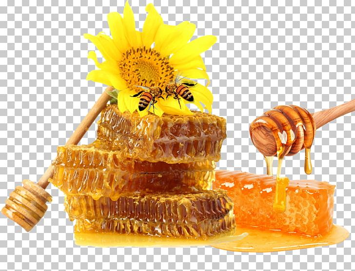 Honey Bee Honeycomb PNG, Clipart, Bee, Beeswax, Cleanser, Collecting Nectar, Exfoliation Free PNG Download