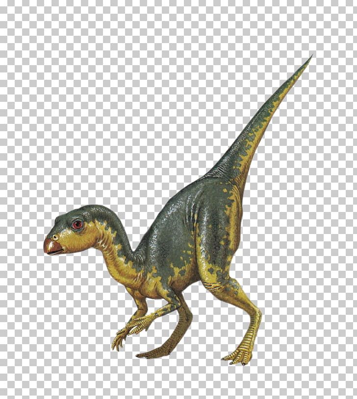 Tyrannosaurus Dinosaur Raster Graphics PNG, Clipart, Aging, Digital Image, Dinosaur Encyclopedia, Dinosaurs, Dinosaur World Free PNG Download