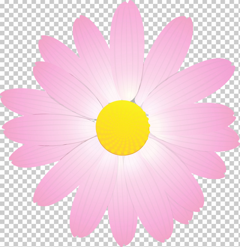 Daisy PNG, Clipart, Camomile, Chamomile, Cosmos, Daisy, Daisy Family Free PNG Download