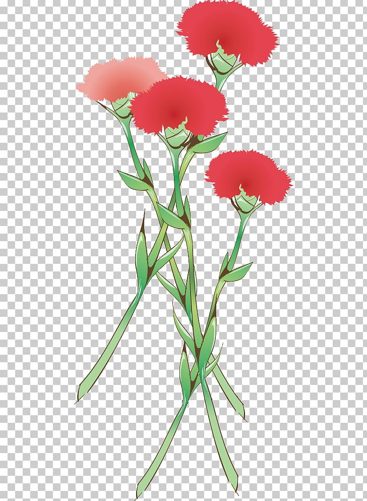 Carnation Mother's Day Parents' Day PNG, Clipart,  Free PNG Download
