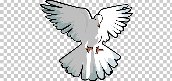 Columbidae Doves As Symbols PNG, Clipart, Artwork, Beak, Bird, Bird Of Prey, Black And White Free PNG Download