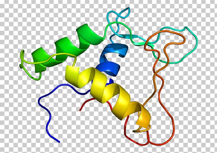 FLI1 ERG Ewing Sarcoma Breakpoint Region 1 Protein Gene PNG, Clipart,  Free PNG Download