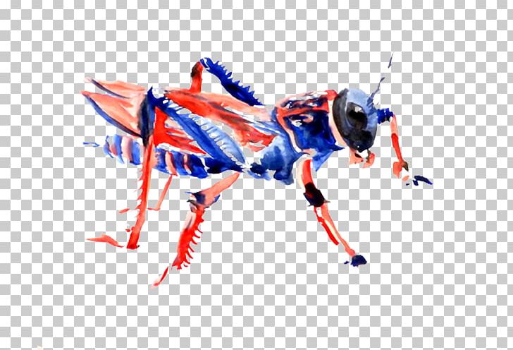 Insect Watercolor Painting Blue Drawing Illustration PNG, Clipart, Animal, Animals, Art, Blue Abstract, Blue Background Free PNG Download