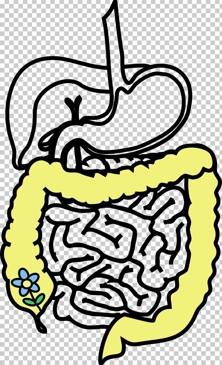 Probiotic Gut Flora Health Gastrointestinal Tract Bacteria PNG, Clipart, Art, Artwork, Bacteria, Biology, Black And White Free PNG Download