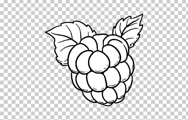 Drawing Raspberry Coloring Book Fruit Cupcake PNG, Clipart, Black And White, Child, Circle, Coloriage, Coloring Book Free PNG Download