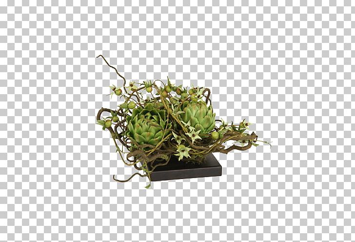 Flowerpot Houseplant PNG, Clipart, Bonsai, Cane, Designer, Euclidean Vector, Floral Design Free PNG Download
