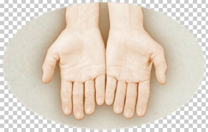 Thumb Hand Model PNG, Clipart, Finger, Hand, Hand Give, Hand Model, Joint Free PNG Download