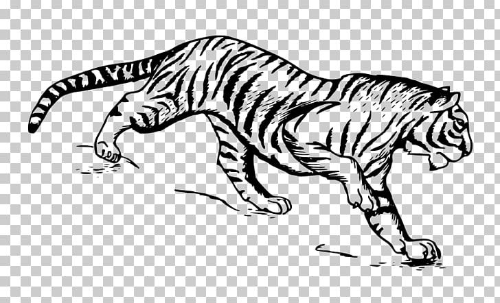 Cat Drawing Siberian Tiger PNG, Clipart, Artwork, Big Cats, Black And White, Carnivoran, Cat Like Mammal Free PNG Download