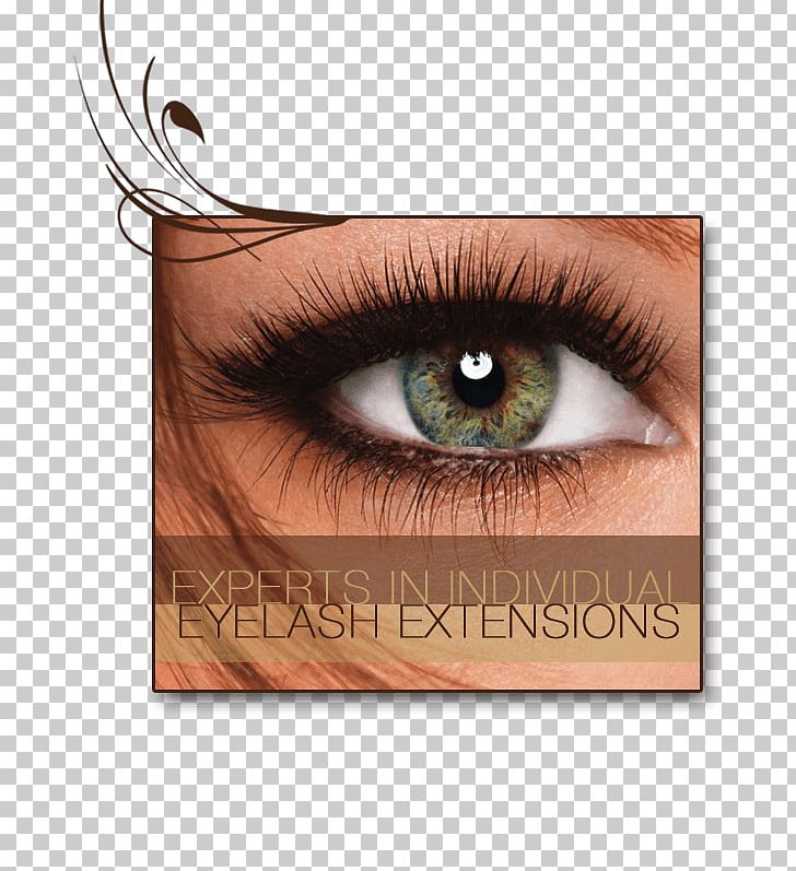 Eyelash Extensions Cosmetics Beauty Parlour Waxing PNG, Clipart,  Free PNG Download