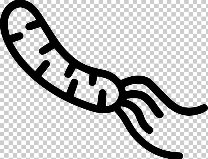 Finger Line Organism PNG, Clipart, Art, Black And White, Finger, Hand, Line Free PNG Download