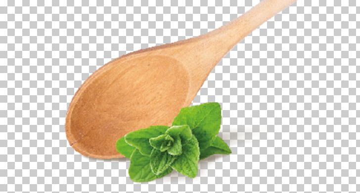 Food Dish Block House Wooden Spoon PNG, Clipart, Block House, Cutlery, Dish, Food, Pleasure Free PNG Download
