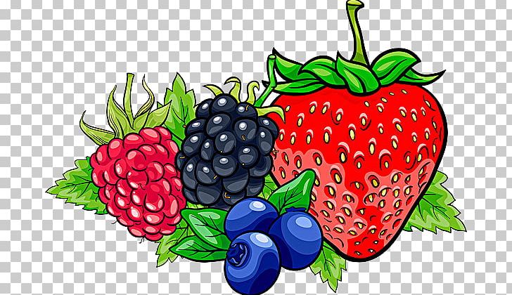 Frutti Di Bosco Cartoon Illustration PNG, Clipart, Apple Fruit, Blackberries, Blueberry, Drawing, Food Free PNG Download