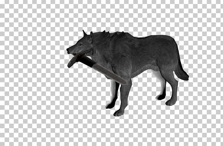Gray Wolf Panther Leopard Cat Felidae PNG, Clipart, Big Cat, Black And White, Carnivoran, Cat, Cougar Free PNG Download
