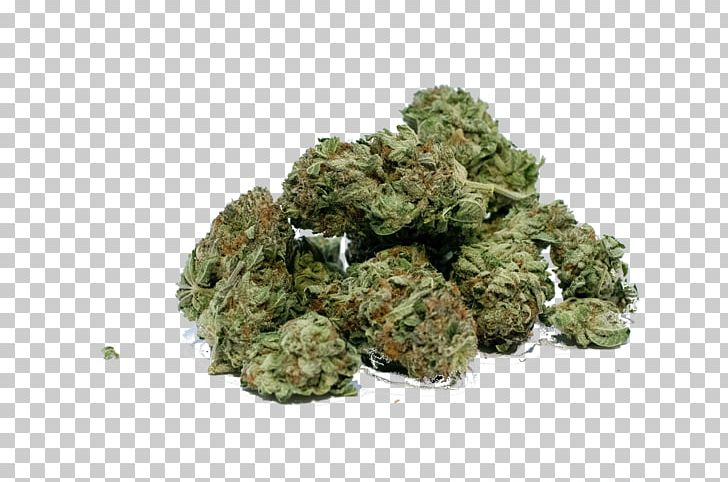 Medical Cannabis Dispensary Cannabis Shop Legalization PNG, Clipart, Cannabidiol, Cannabis, Cannabis Cultivation, Cannabis Sativa, Cannabis Shop Free PNG Download