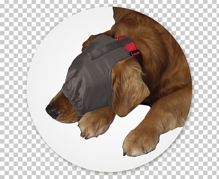 Separation Anxiety In Dogs Thunderworks Calming Cap Amazon.com Pet PNG, Clipart, Amazoncom, Animals, Anxiety, Carnivoran, Collar Free PNG Download