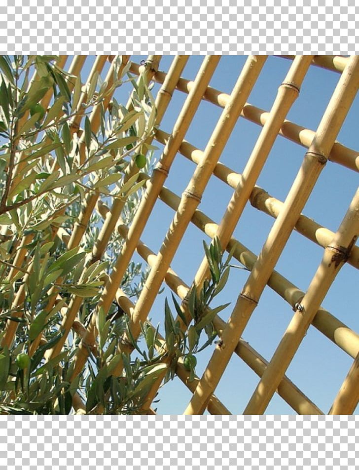 Bamboo Bambou Trellis Phyllostachys Nigra Phyllostachys Edulis PNG, Clipart, Bamboo, Flower Box, Furniture, Garden, Grass Free PNG Download