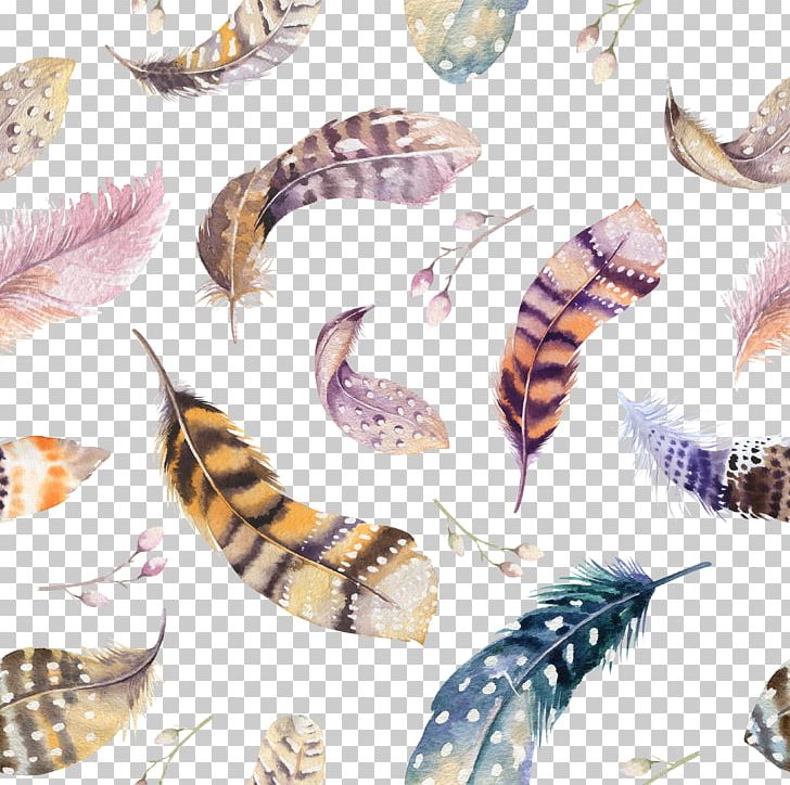 Feather Throw Pillow Watercolor Painting Drawing PNG, Clipart, Animals, Beautiful, Beautiful Feathers, Collection, Color Free PNG Download