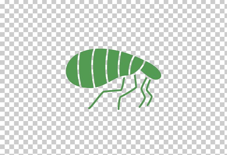 Insect Green Pollinator PNG, Clipart, Animals, Artwork, Control, Flea, Green Free PNG Download