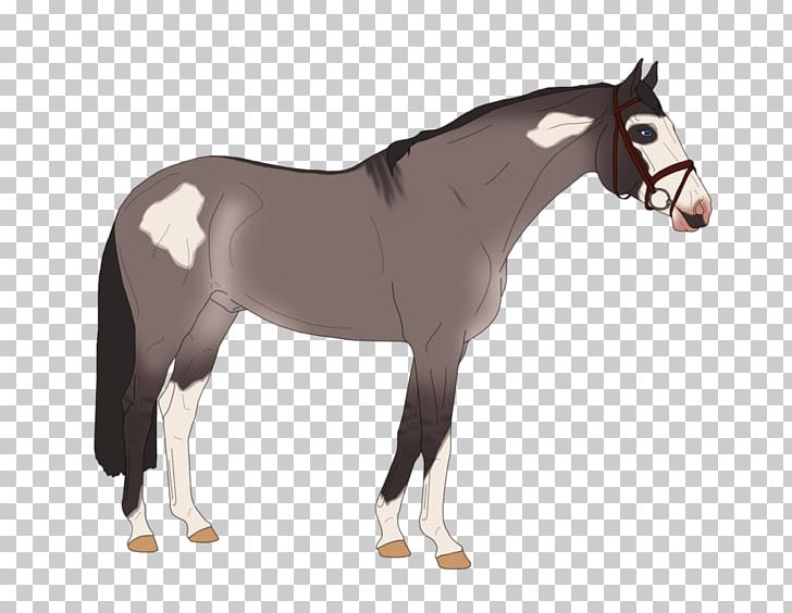 Colt Stallion Mustang Foal Pony PNG, Clipart, Colt, Department Store, Foal, Gift, Horse Free PNG Download