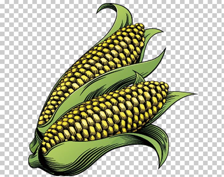 Corn On The Cob Maize Drawing PNG, Clipart, Cartoon, Cartoon Corn, Commodity, Corn, Corn Cartoon Free PNG Download