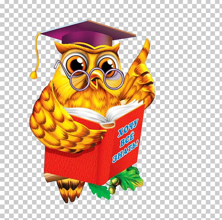 Diploma Kindergarten School Paper Educator PNG, Clipart, Animals, Artikel, Bird, Bird Of Prey, Book Free PNG Download