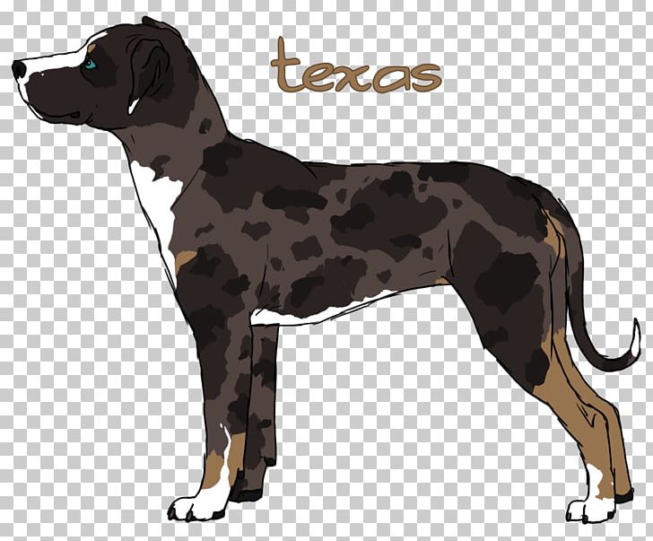 Dog Breed Great Dane Crossbreed PNG, Clipart, Breed, Carnivoran, Crossbreed, Dog, Dog Breed Free PNG Download