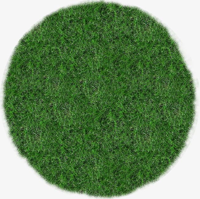 Grass PNG, Clipart, Decorative, Decorative Patterns, Grass, Grass Clipart, Green Free PNG Download