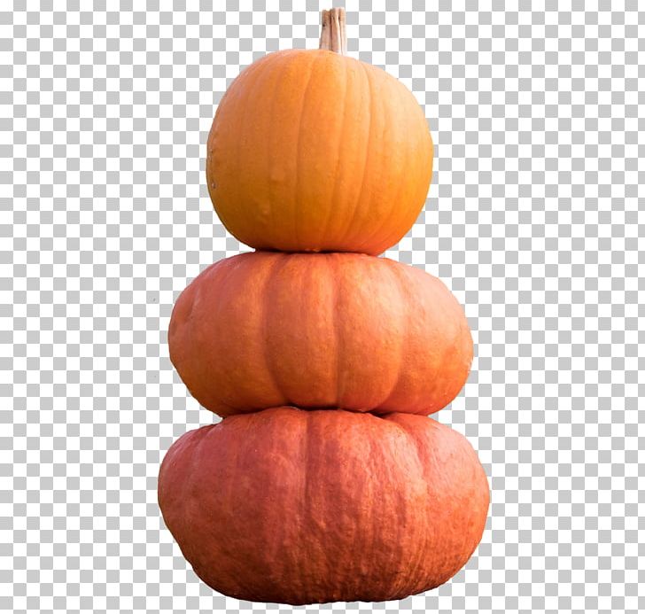 Pumpkin Calabaza Gourd Winter Squash Vegetable PNG, Clipart, Deviantart, Encapsulated Postscript, Food, Gourd, Halloween Pumpkin Free PNG Download