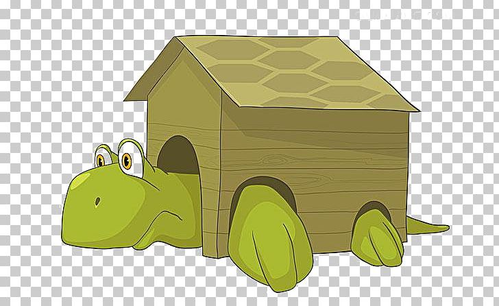 Turtle Cartoon Illustration PNG, Clipart, Animals, Balloon Cartoon, Boy Cartoon, Caricature, Cartoon Free PNG Download