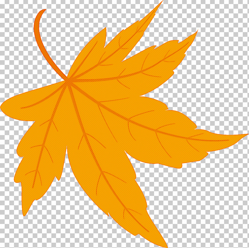 Maple Leaf Fallen Leaf Dead Leaf PNG, Clipart, Autumn, Autumn Leaf, Black Maple, Dead Leaf, Deciduous Free PNG Download