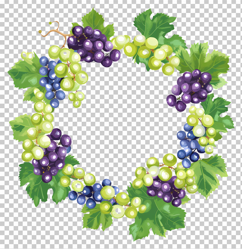 Grape Wreath - Grape Wreath Illustration With Vibrant Colors PNG