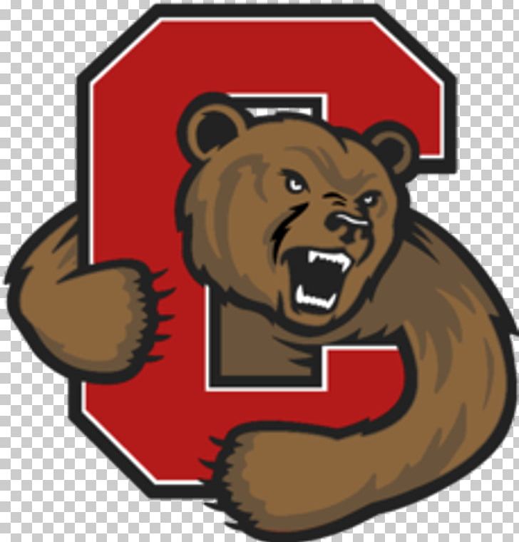 Cornell Big Red Men's Basketball Lynah Rink Cornell Big Red Baseball Cornell Big Red Football Cornell Big Red Women's Basketball PNG, Clipart, Bear, Carnivoran, Cornell Big Red, Cornell Big Red Mens Basketball, Cornell Big Red Womens Basketball Free PNG Download