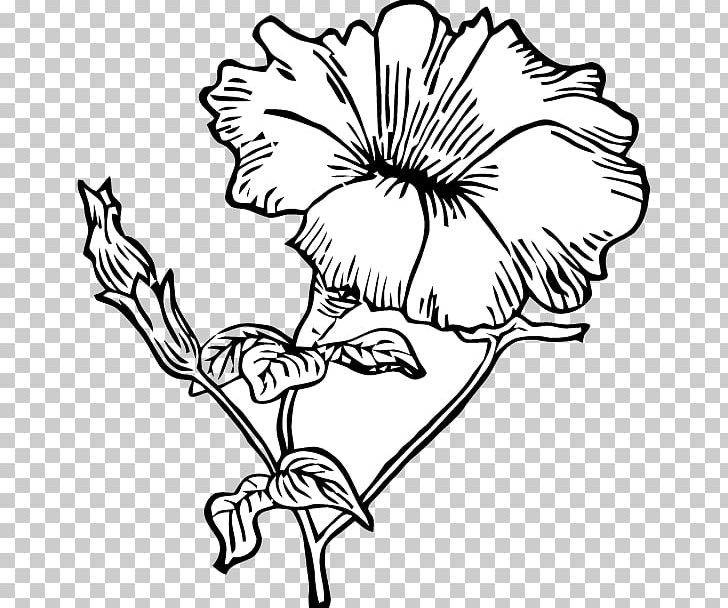 Drawing Line Art Flower Petunia PNG, Clipart, Artwork, Black And White, Branch, Cut Flowers, Drawing Free PNG Download