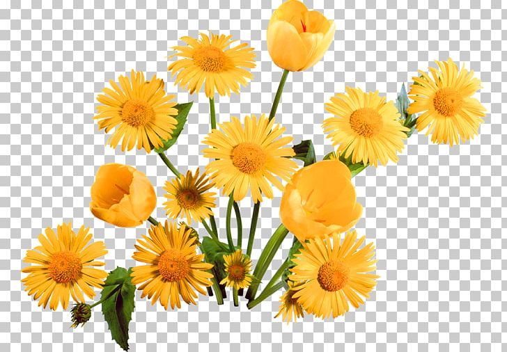 Flower Bouquet Tulip Petal PNG, Clipart, Artificial Flower, Christmas Decoration, Color, Daisy Family, Decorative Free PNG Download
