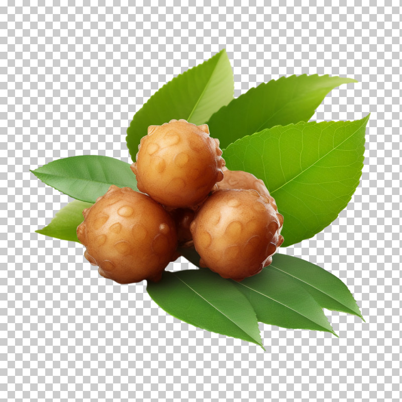 Longan - Shea Nuts With Leaves PNG