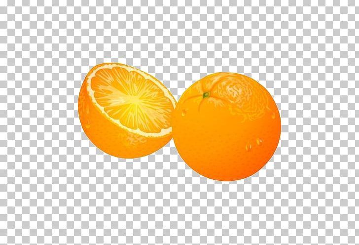 Orange Juice Mandarin Orange Blood Orange PNG, Clipart, Bitter Orange, Cartoon, Cartoon Oranges, Citric Acid, Citrus Free PNG Download